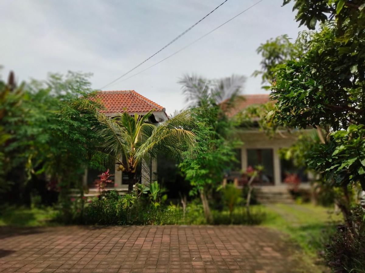 Pier26 Bali Homestay Nusa Dua  Dış mekan fotoğraf
