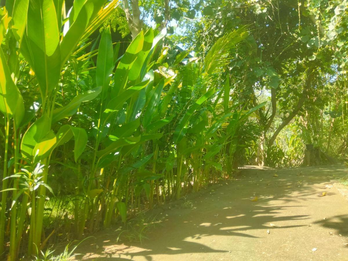 Pier26 Bali Homestay Nusa Dua  Dış mekan fotoğraf