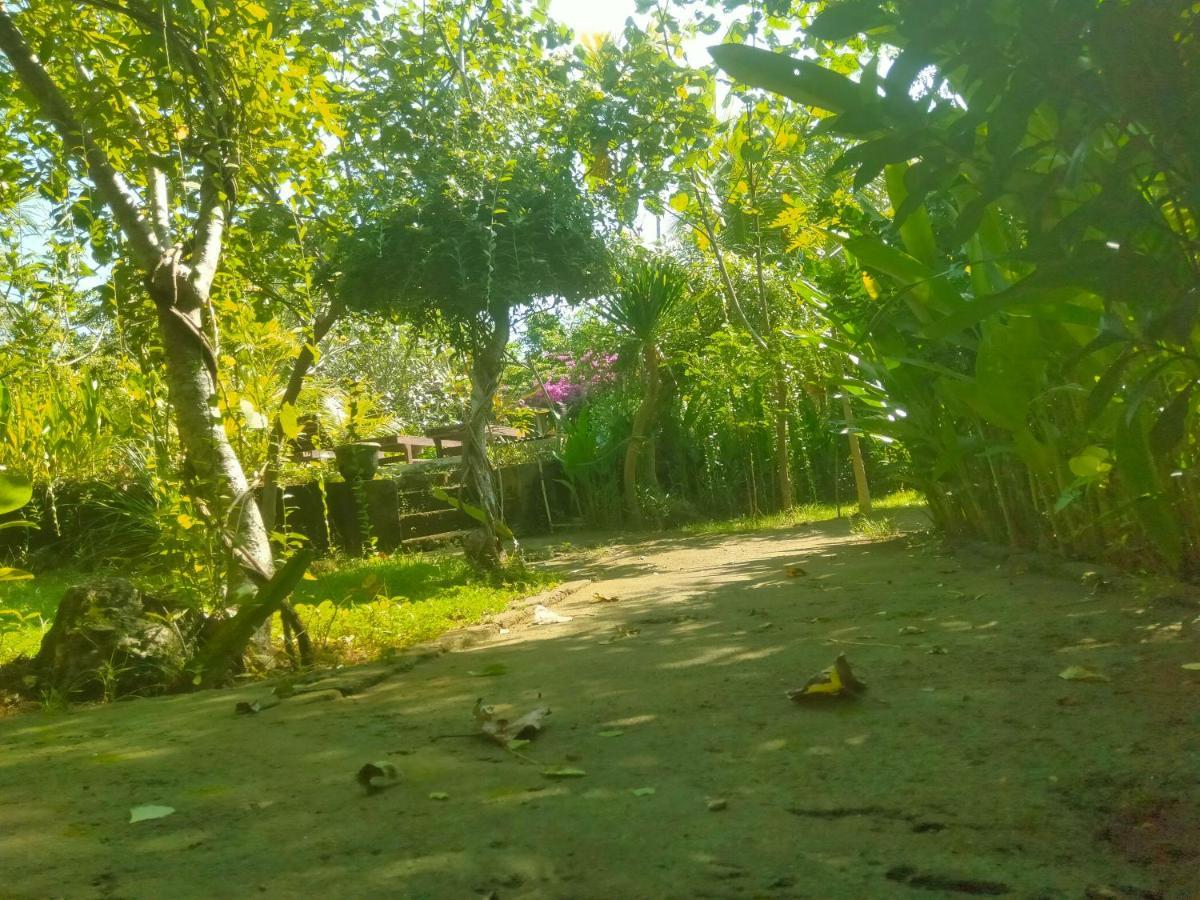 Pier26 Bali Homestay Nusa Dua  Dış mekan fotoğraf